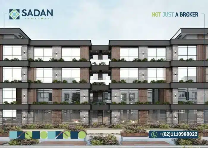 دي جويا زايد الجديدة