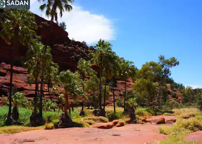 معلومات حول مشروع بالم فالي اكتوبر