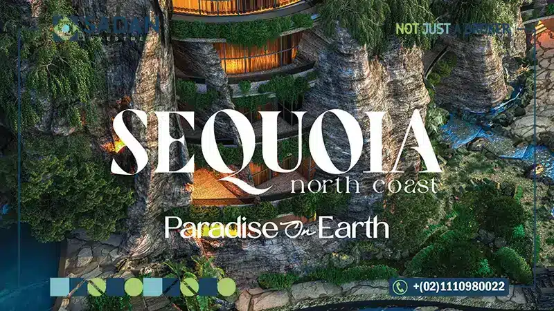 قرية سيكويا رأس الحكمة