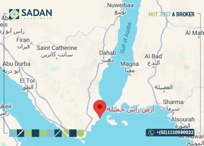 مخطط رأس جميلة