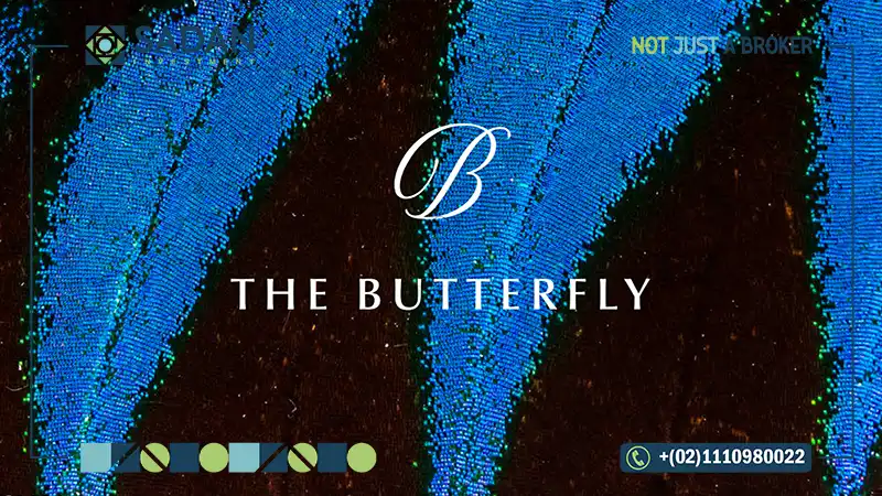 كمبوند ذا بترفلاي المستقبل سيتي The Butterfly مدينة مصر