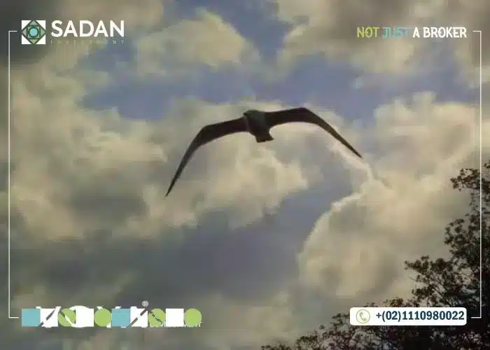 Compound Zat Community 6 October