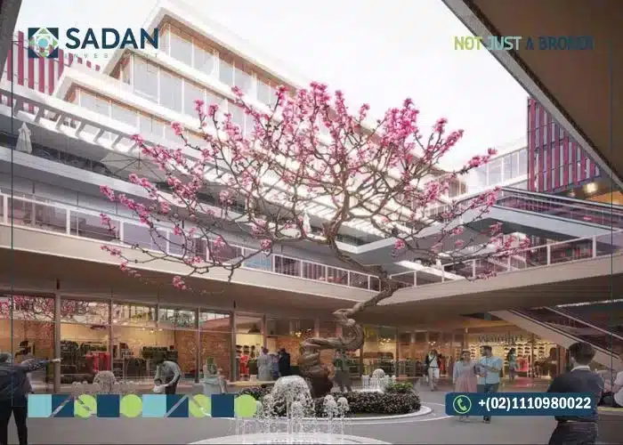 مول فايف فيفتي فايف دال