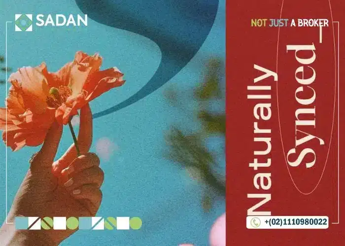 مول كيت الشيخ زايد