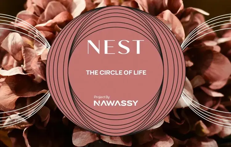 Compound Nest New Cairo