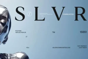 مول RVR التجمع الخامس RVR New Cairo شركة SLVR