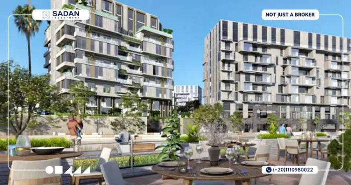 Compound 205 Arkan Palm Sheikh Zayed