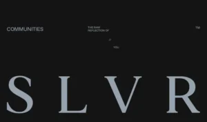 شركة SLVR للتطوير العقاري SLVR Communities Development