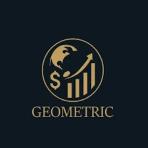 Geometric Developments