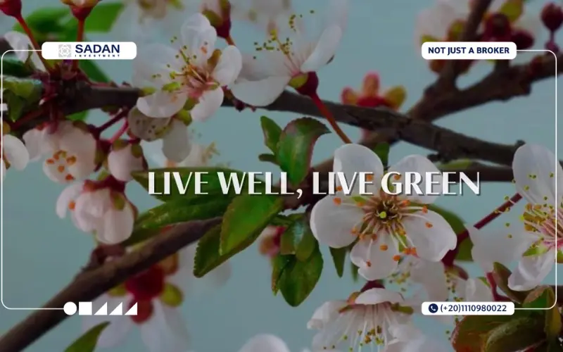 مشروع روك جرين هليوبوليس