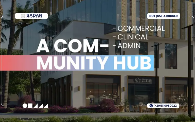 مول Vivid أكتوبر