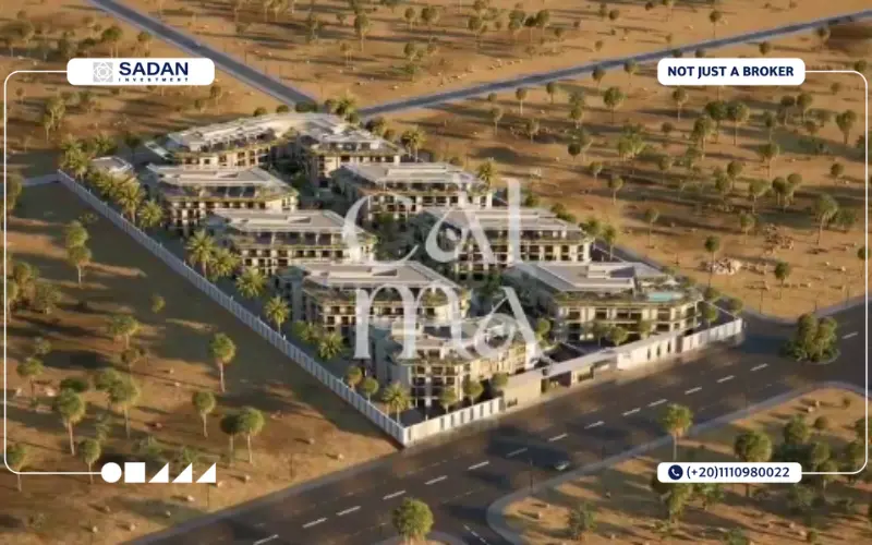 Calma Zayed الشيخ زايد