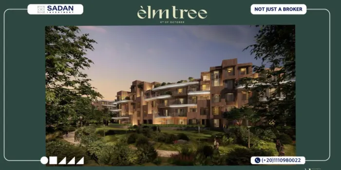 Compound Elmtree October