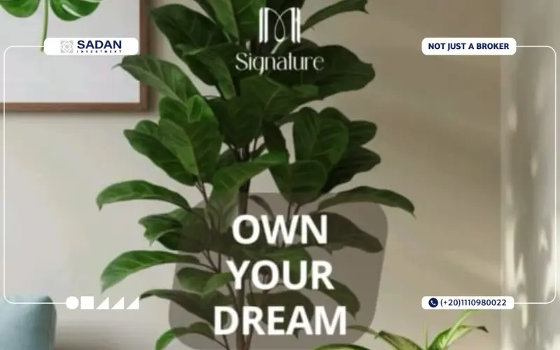 مشروع M Signature