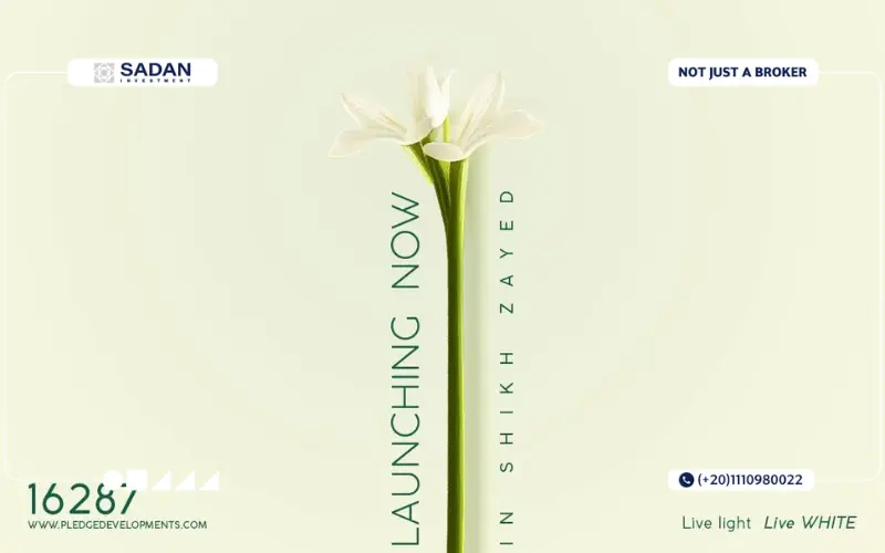 مشروع White Residence الشيخ زايد