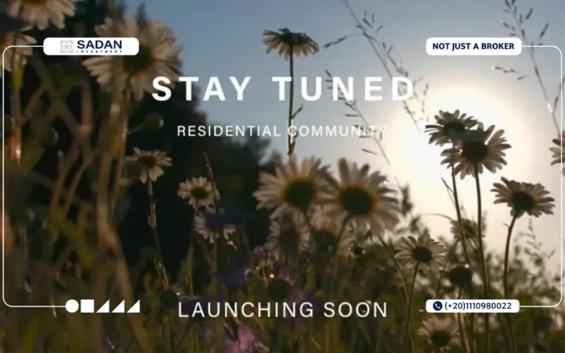 Lu Zada Compound New Zayed