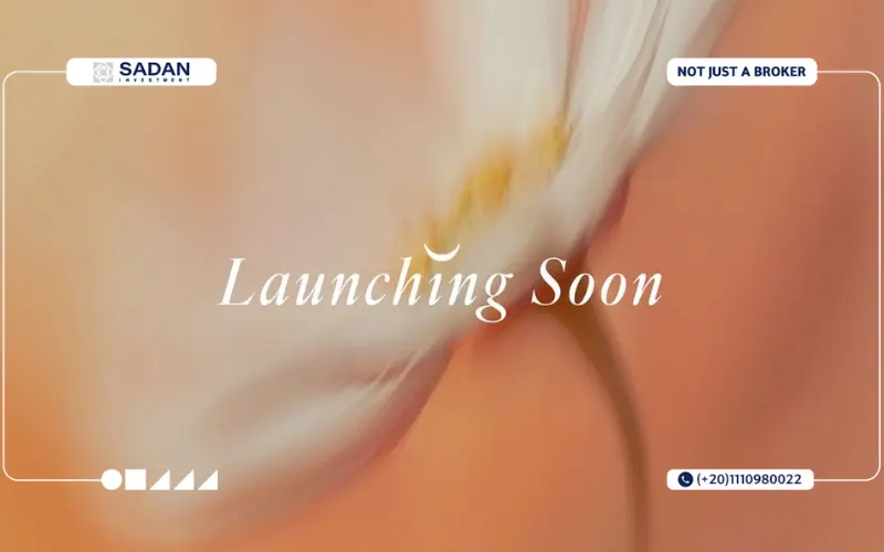 مشروع دار العالمية التجمع السادس