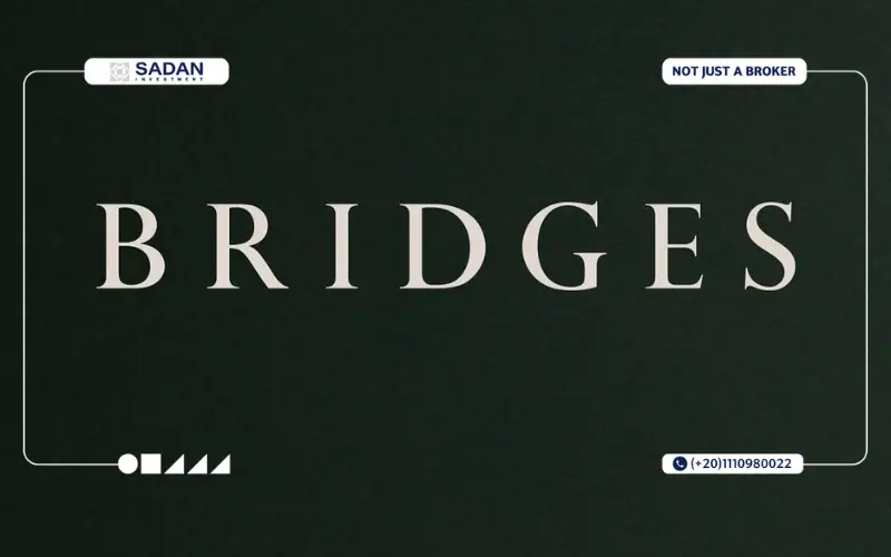 Mall Bridges Sheikh Zayed