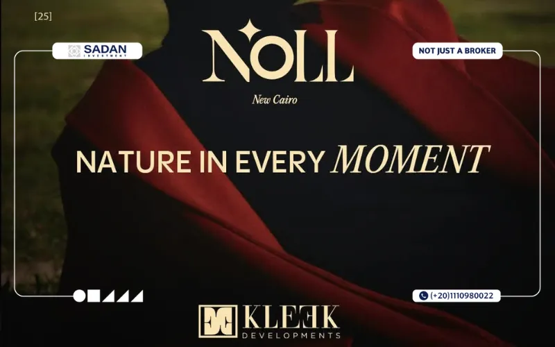 مشروع نول التجمع