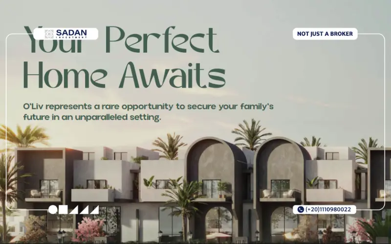 Oliv Compound New Zayed