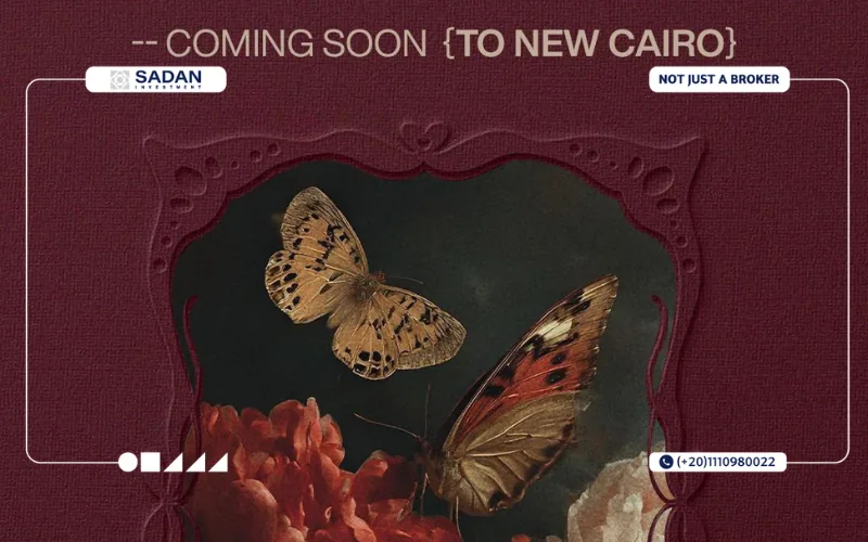 Sira New Cairo Area and Payment plans 