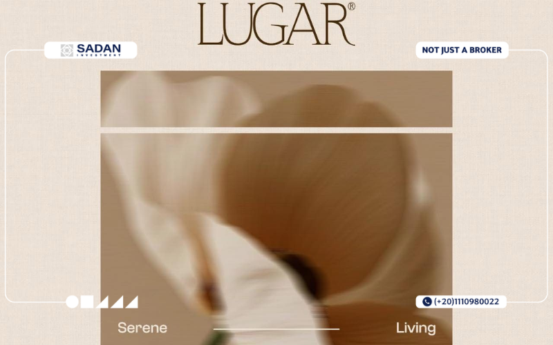Lugar New Zayed  Prices and Payment Plans