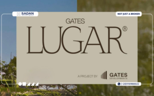 Lugar New Zayed  Prices and Payment Plans