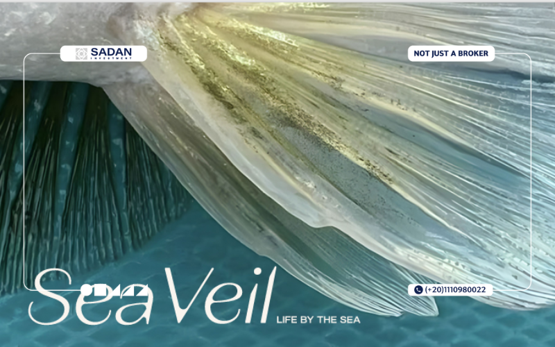 سي فيل أزها الساحل الشمالي Sea Veil Azha North Coast مساحات وأسعار